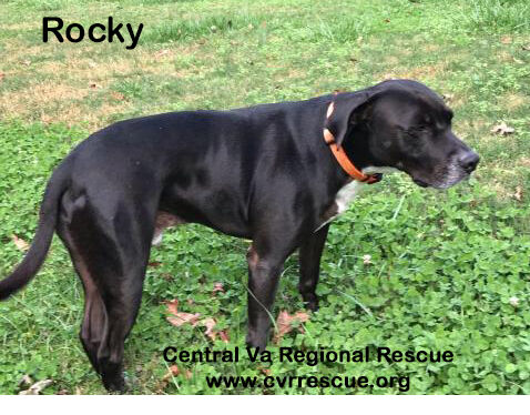 Rocky